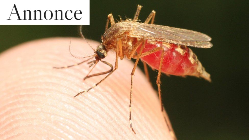 Malaria er ikke så sjælden, som du tror